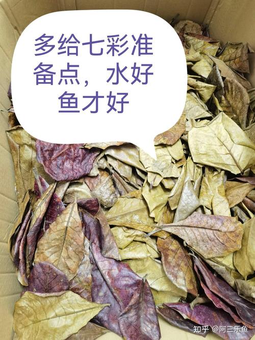 美人鱼真实照片，美人鱼真实照片恐怖  第6张