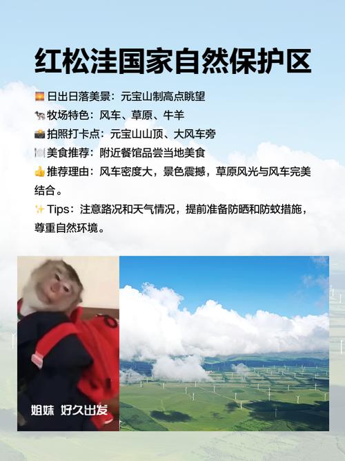 塞罕坝一周天气预报，塞罕坝一周天气预报15天  第2张