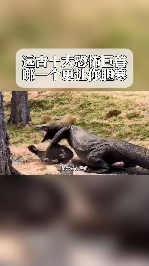 史前30种恐怖巨兽，史前前十恐怖巨兽排名榜  第3张
