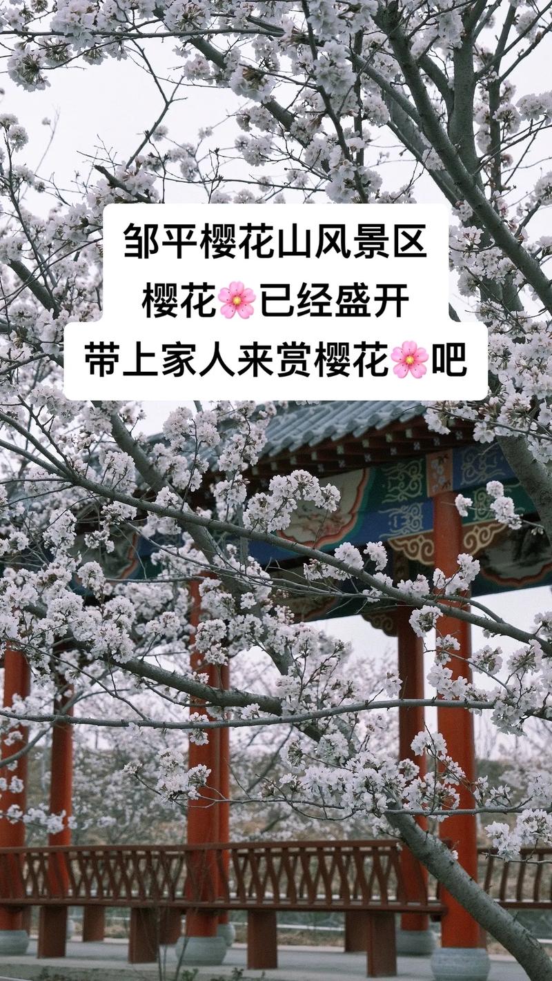 邹平每小时天气预报，邹平一周的天气  第2张