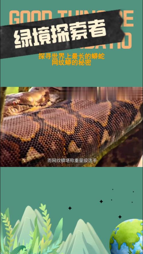 世界上最大的蛇是哪条，世界上面最大的蛇  第2张