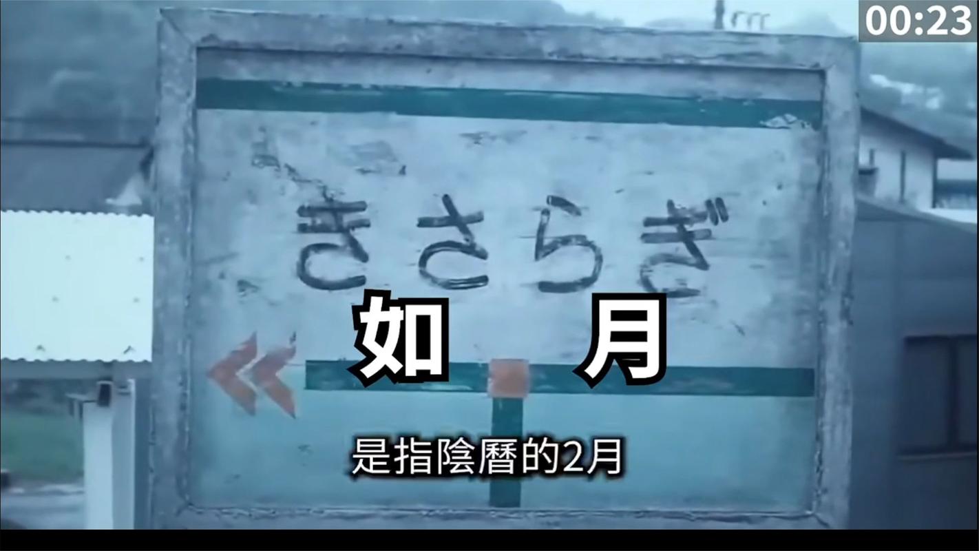 如月车站改编的电影？如月车站改编的电影中国慧老师？  第3张