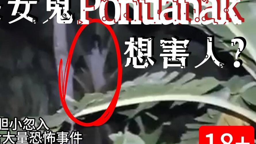 香港唯一承认的灵异事件？香港唯一承认的灵异事件真相？  第5张