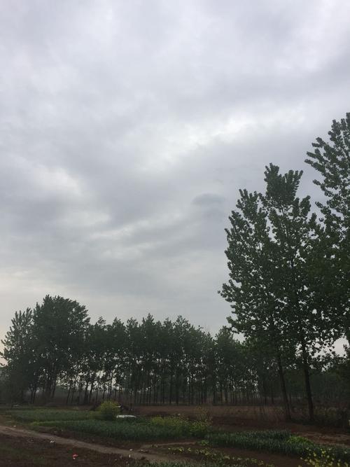 河南各区县天气预报？河南各区县天气预报一周十五天四十天？  第6张