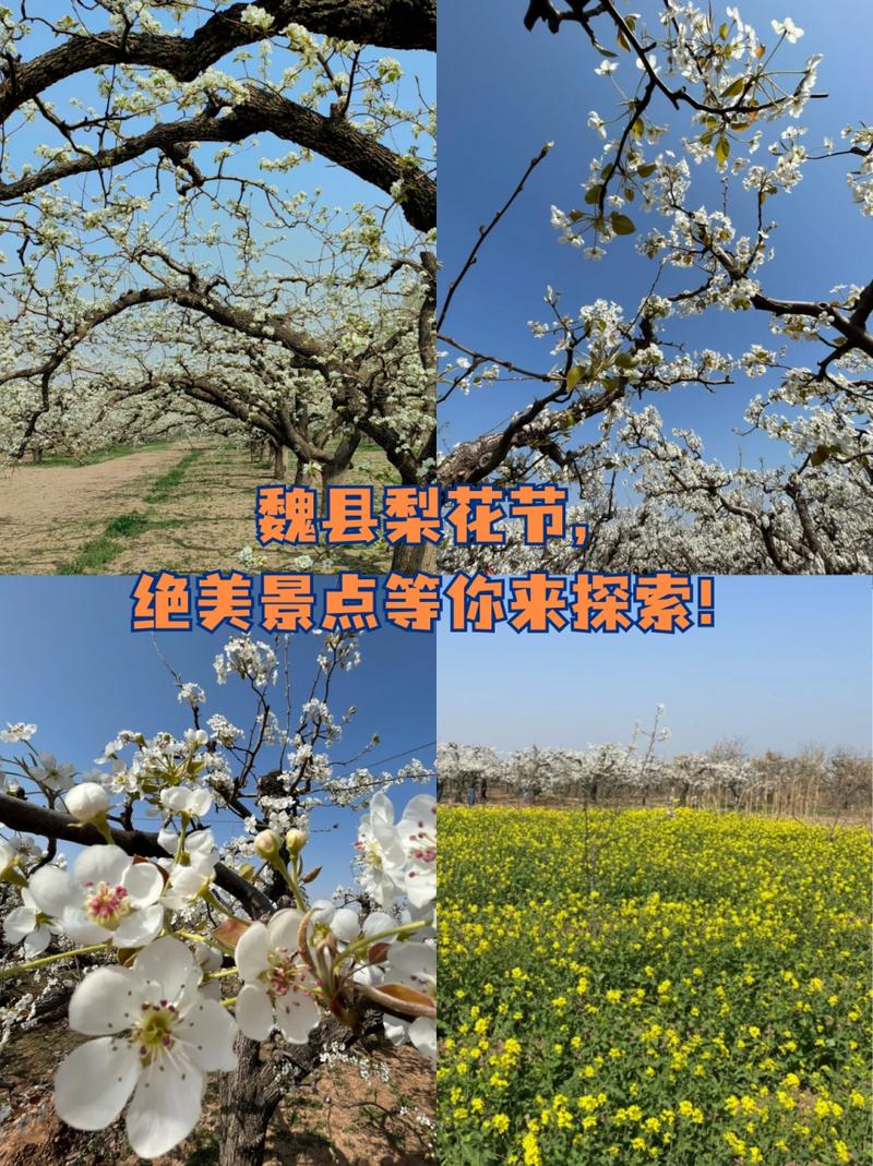 魏县天气8月份天气？魏县20天天气预报？  第5张
