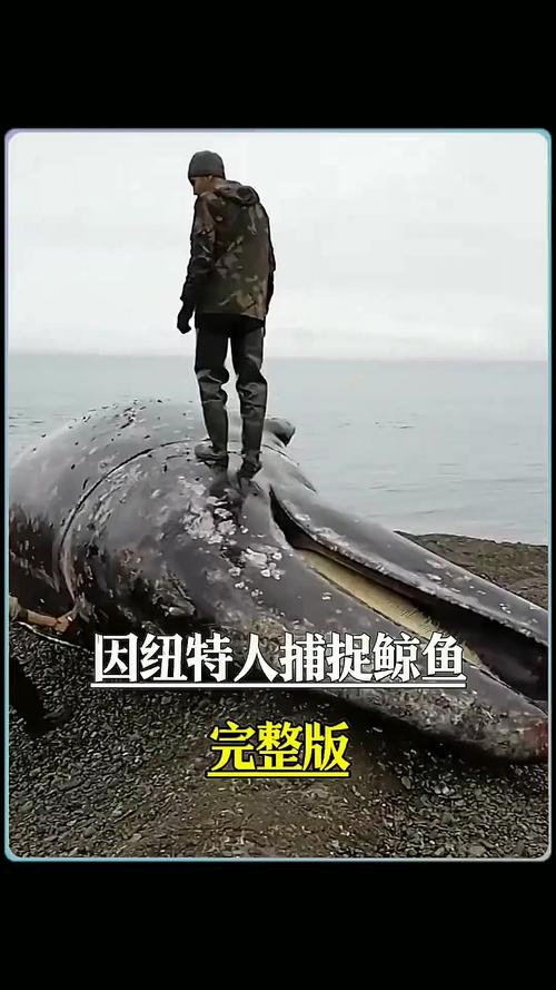 黑鳞鲛人真的活的图片？黑鳞鲛人真的活的图片大全？  第2张