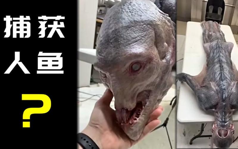 黑鳞鲛人真的活的图片？黑鳞鲛人真的活的图片大全？  第6张