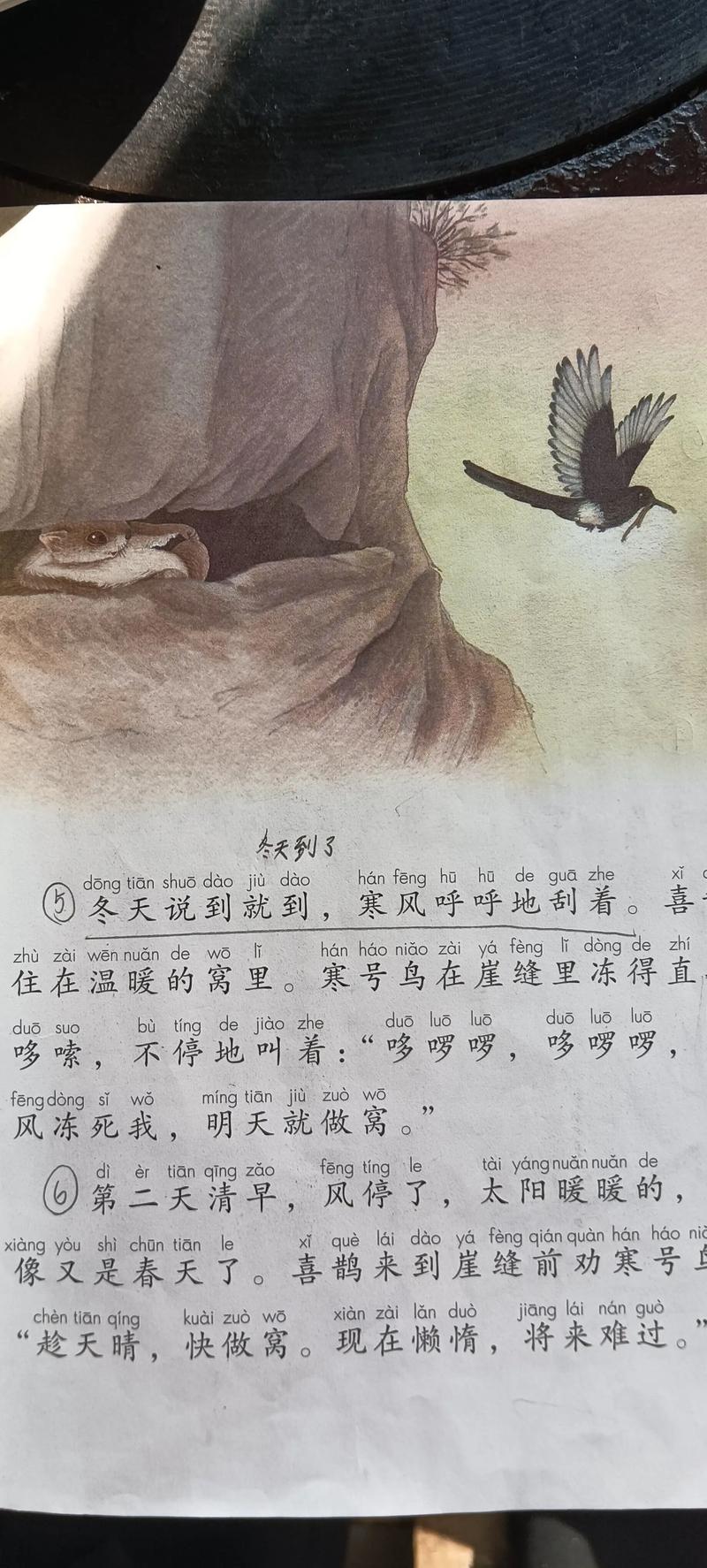 寒号鸟是鸟吗?为什么叫寒号鸟，寒号鸟是否一种鸟  第3张