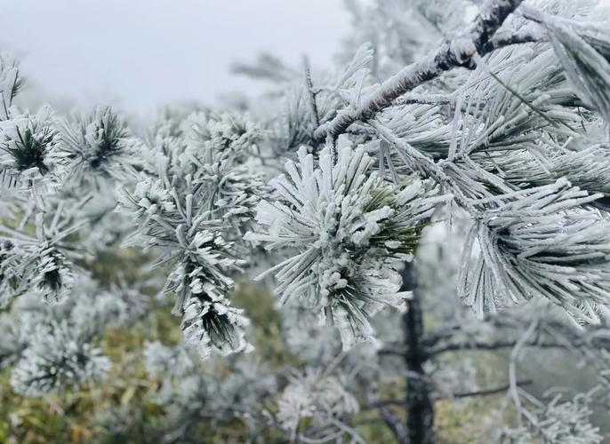 德化7月20日天气？德化天气天气？  第4张