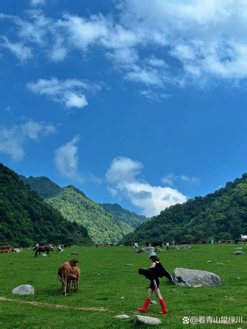 汉中市留坝天气预报，汉中市留坝天气预报查询  第3张