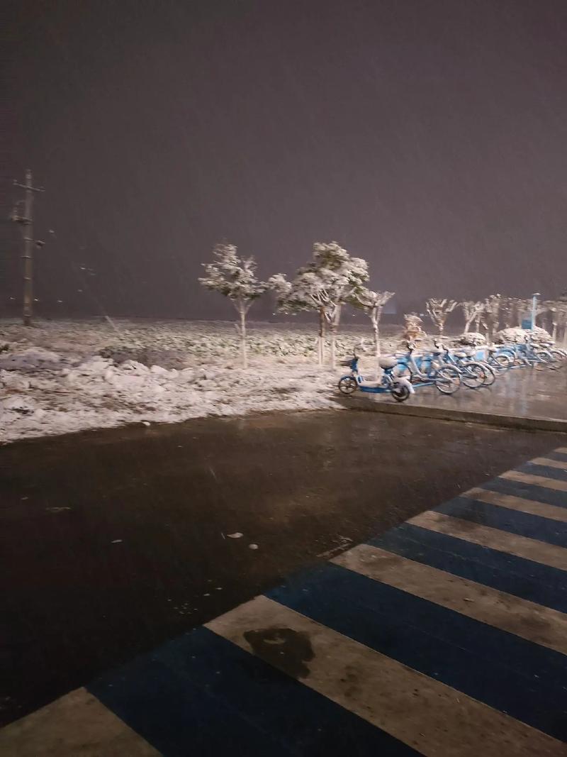 泽雅天气预报15天，渮泽市天气？  第2张