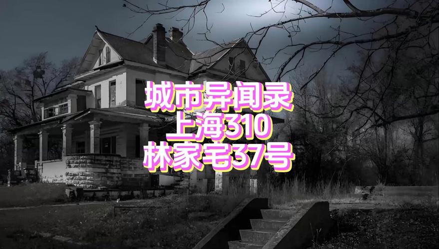 林家宅37号灭门事件，林家宅37号灭门事件真相？  第2张