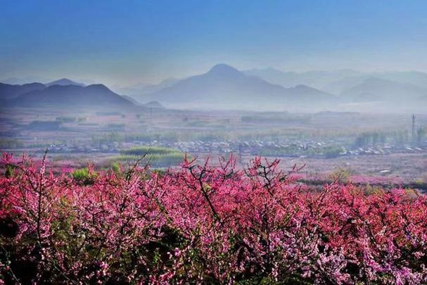 明天平谷区天气预报，今天平谷天气实时预报？  第4张