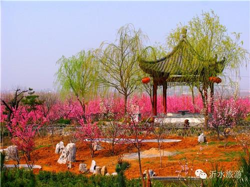 临沂市天气预报15？临沂市天气预报15天查询百度地图下载？  第4张