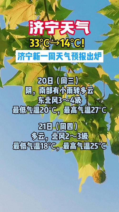 泰安40天天气预报，泰安40天天气预报小雨1420？  第6张