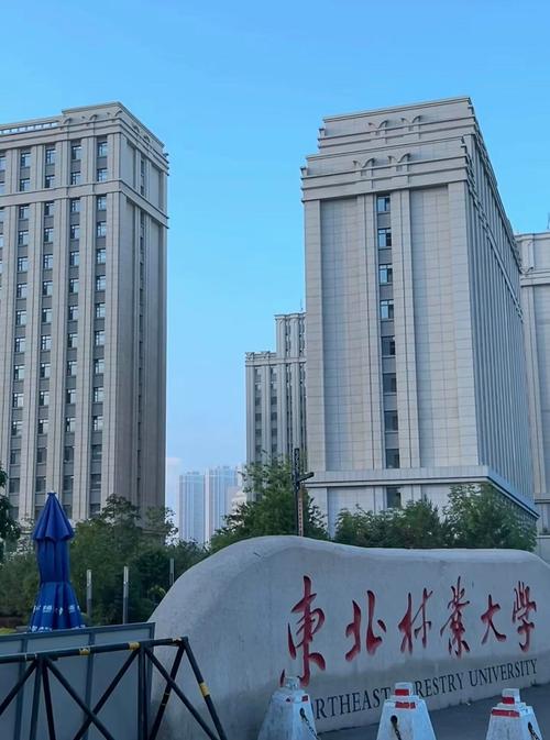 北师大那么恐怖为何还有人去，北师大为何叫北校区？  第2张