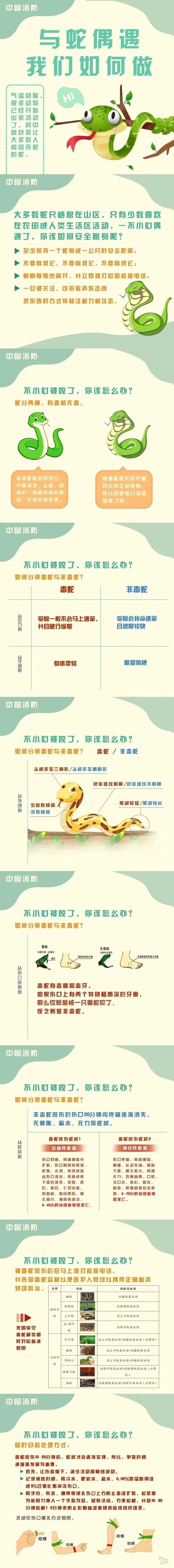 变色蛇为什么会变色，变色蛇为什么会变色呢  第1张