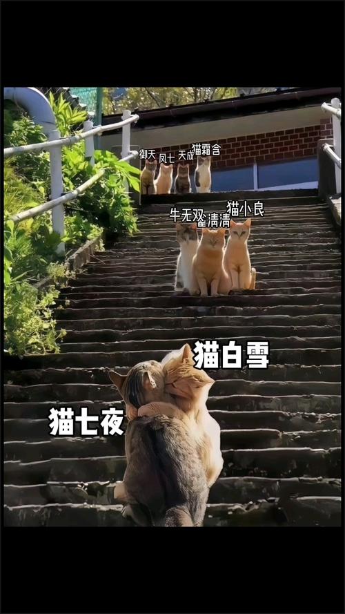 诡异图片吃饭七宗罪，诡异的图片看懂了才会吓人？  第5张
