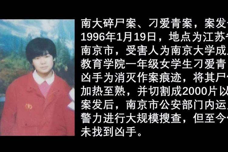 关于南京特大碎尸案现场照片的信息  第5张