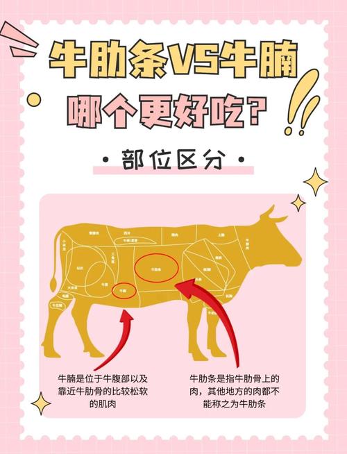 牛碗口是牛的什么器官？牛碗口的营养和作用？  第5张