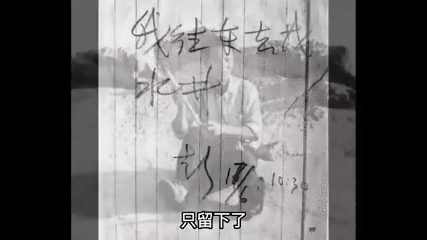 双鱼玉佩小说免费阅读，双鱼玉佩小说免费阅读全文？  第5张