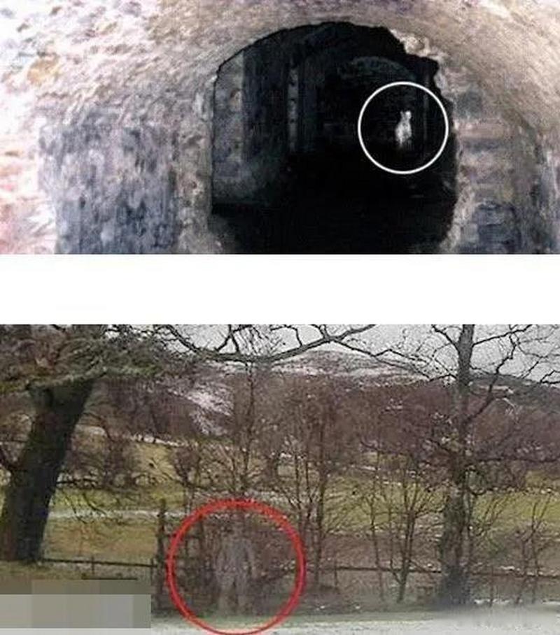 双鱼玉佩小说免费阅读，双鱼玉佩小说免费阅读全文？  第6张