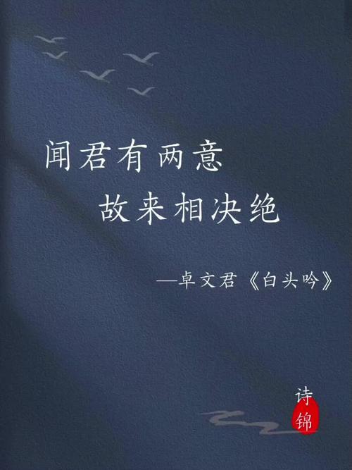 天下奇闻异事，天下奇闻异事怪事？  第2张