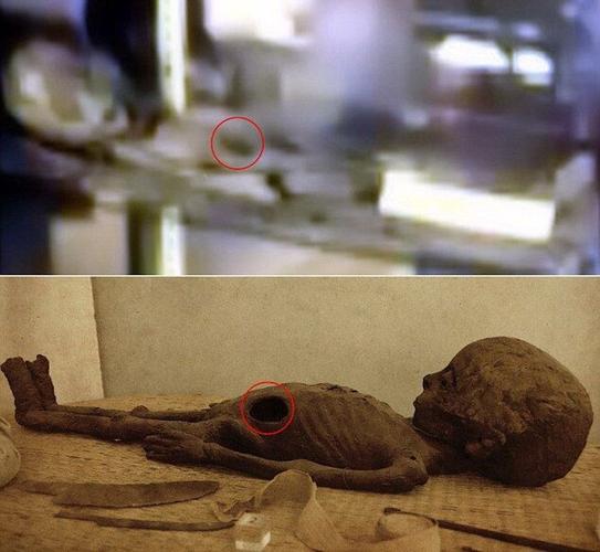 军方承认ufo事件，军事新闻 ufo视频 ufo坠毁现场 军人捕获外星人？  第5张
