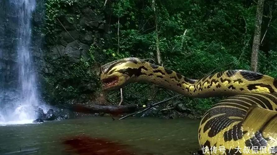 真足蛇咬人吗，真足蛇有几条腿  第3张