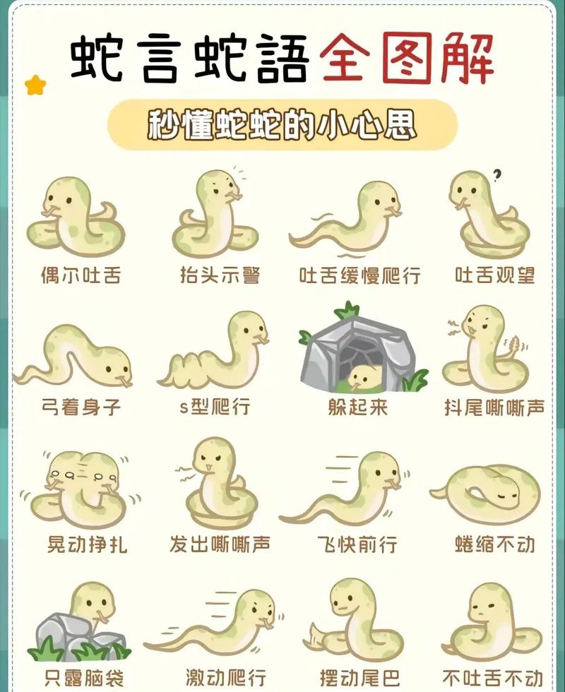 真足蛇咬人吗，真足蛇有几条腿  第5张