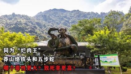 真足蛇咬人吗，真足蛇有几条腿  第6张