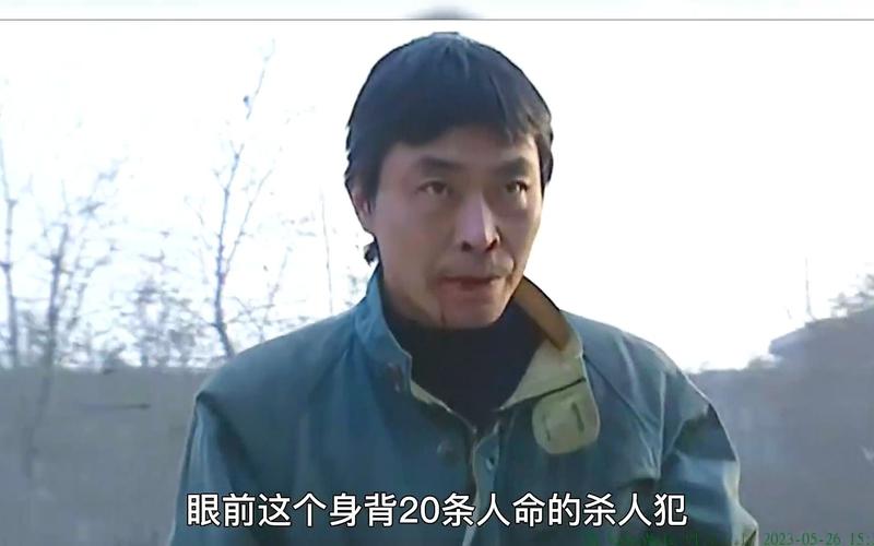前十悍匪董震，悍匪 董震  第6张