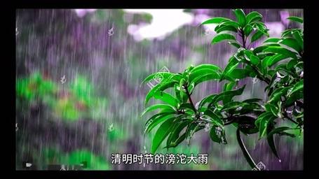 那曲天气预报主持人，今晚那曲天气预报  第3张