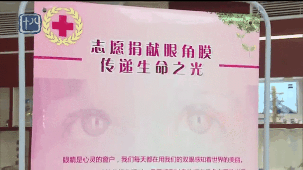 小女孩死亡遗体，小女孩死亡遗体光脚？  第5张