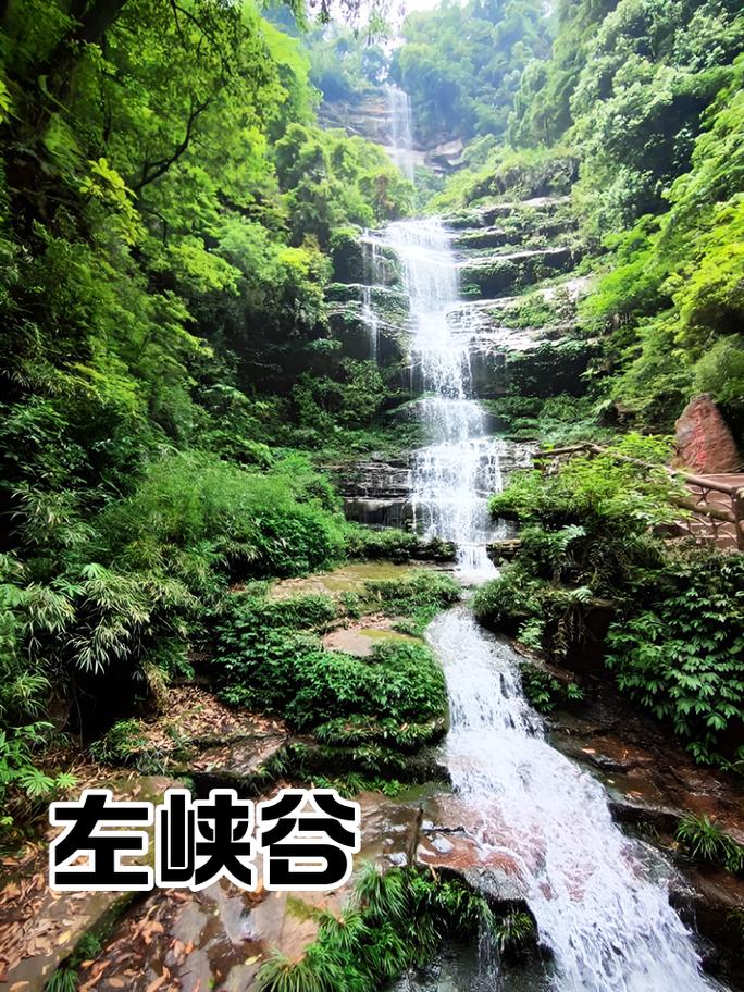 碧峰峡本周天气预报？碧峰峡本周天气预报实况？  第2张