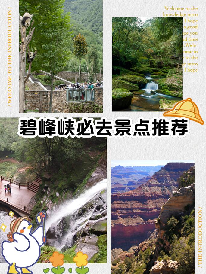 碧峰峡本周天气预报？碧峰峡本周天气预报实况？  第3张