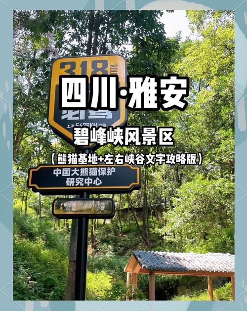 碧峰峡本周天气预报？碧峰峡本周天气预报实况？  第5张