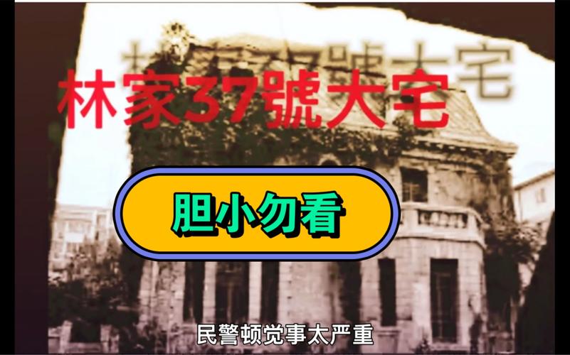 林家宅37号事件解释，林家宅37号事件百度百科？  第1张