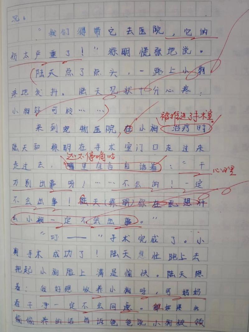 成都青白江历史天气？青白江近一周天气？  第1张