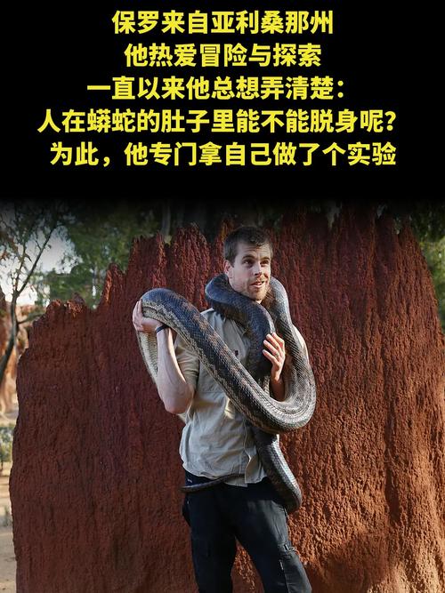 四川巨蟒渡劫事件，四川发现巨蟒？  第3张