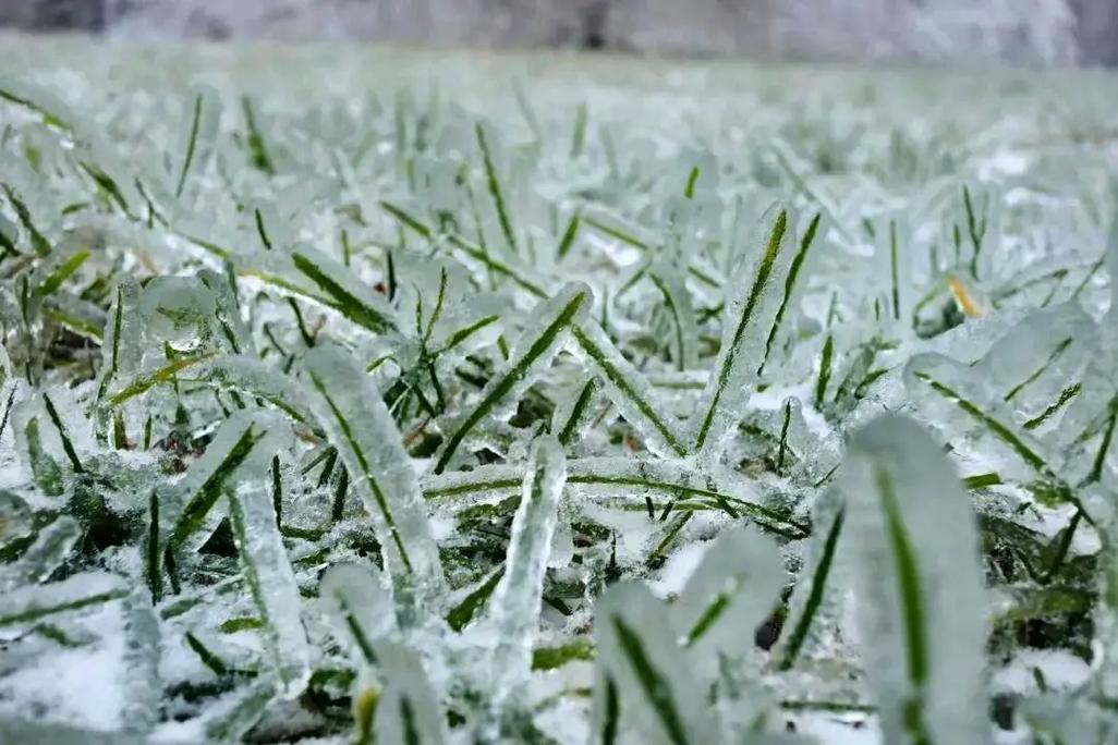 常德临澧三十天天气，湖南临澧未来40天天气  第4张