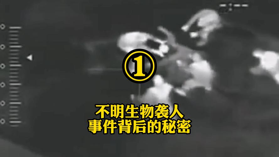 俄罗斯赤塔僵尸事件最新版，俄罗斯赤塔僵尸事件完整视频  第1张