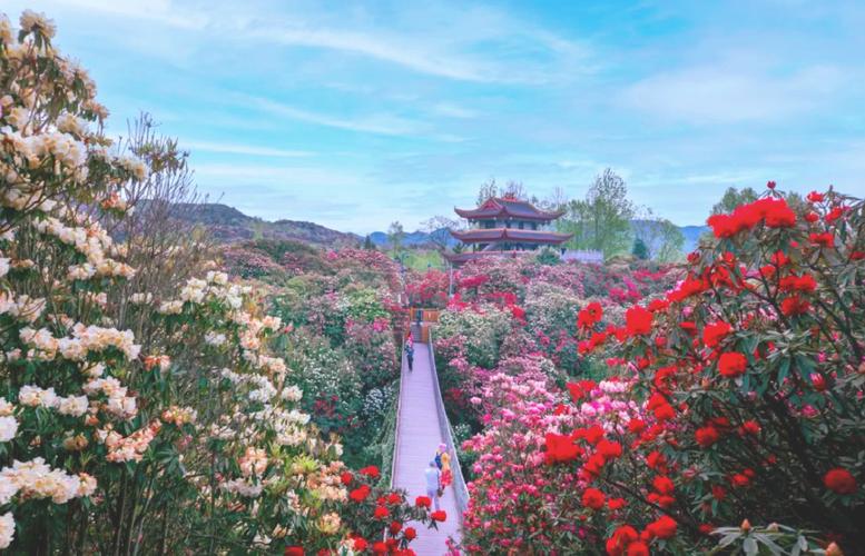 毕节10天天气预报？贵州毕节十天天气了预报？  第5张