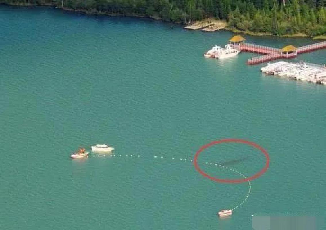 喀纳斯湖水怪真相，喀纳斯湖水怪真相全集视频？  第2张