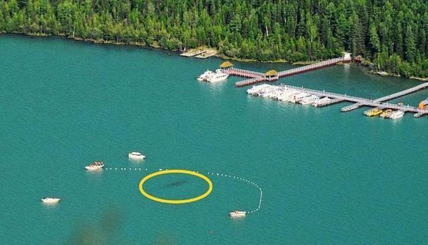 喀纳斯湖水怪真相，喀纳斯湖水怪真相全集视频？  第1张