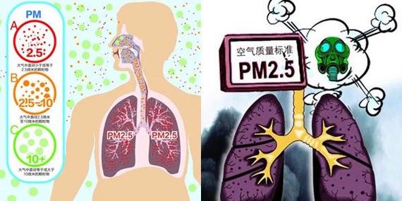 雾霾天气造成的影响，雾霾天气严重影响人们的生活和健康？  第5张