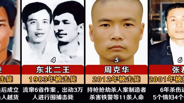 新中国前十悍匪纪实？新中国前十悍匪电子书免费下载？  第5张