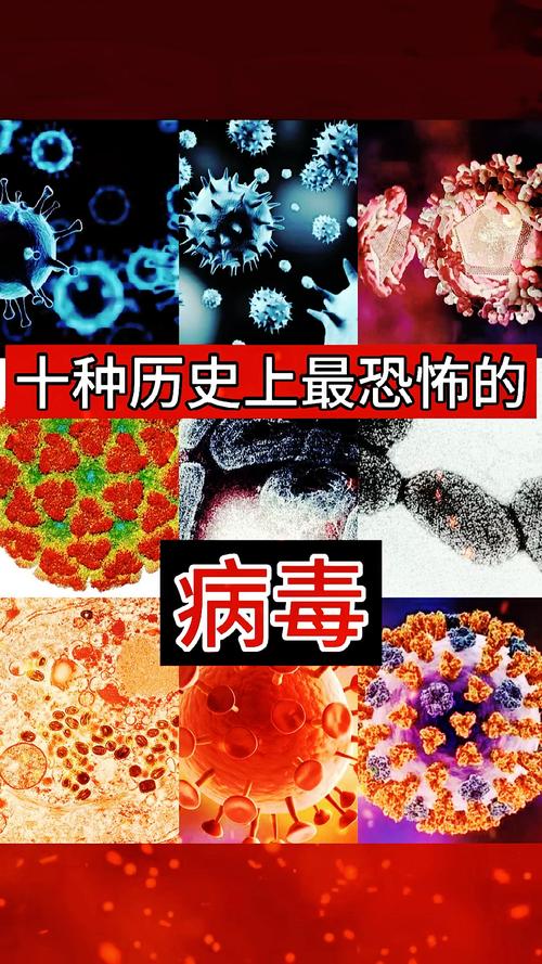 世界前十恐怖病毒？世界前十恐怖病毒视频？  第1张