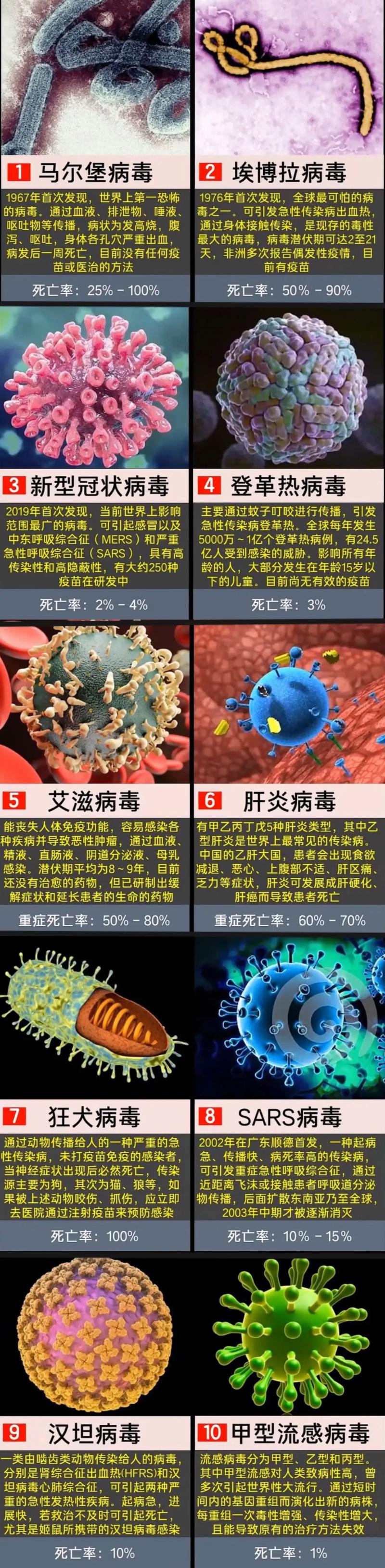 世界前十恐怖病毒？世界前十恐怖病毒视频？  第4张