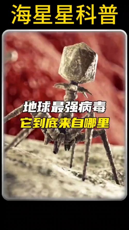 世界前十恐怖病毒？世界前十恐怖病毒视频？  第6张